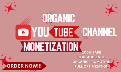 I Will Handle All Aspects of Organic YouTube Monetization for You