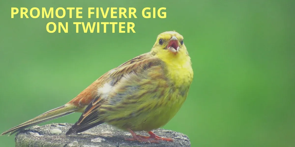 How to Promote a Fiverr Gig: A Comprehensive Guide