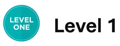 What is Level 1 on Fiverr?