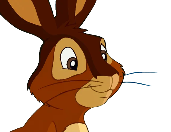 Fiver Watership Down PNG by jakeysamra on DeviantArt