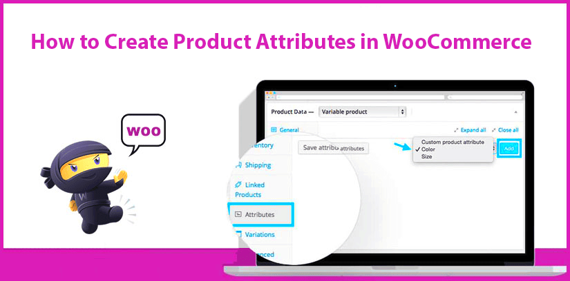 How to Create Product Attributes in WooCommerce  WOOVINA