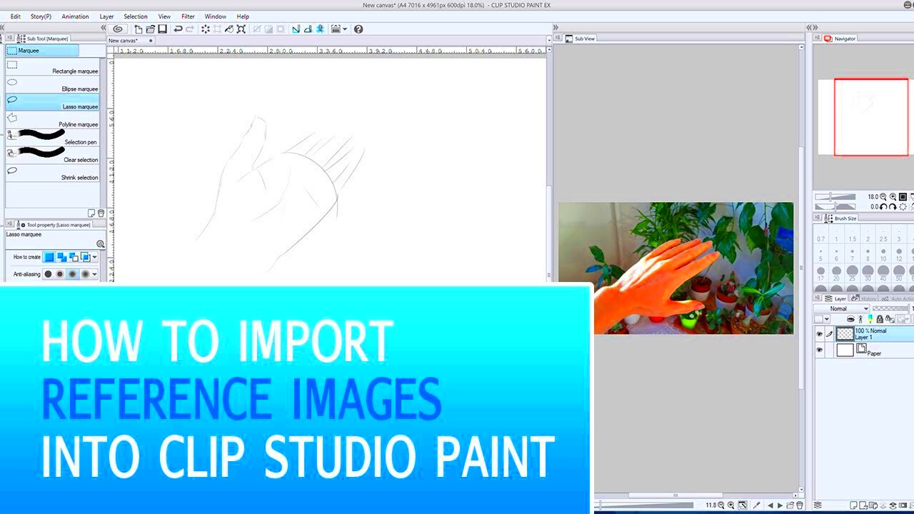 How To Import Reference Images Into Clip Studio Paint Manga Studio 