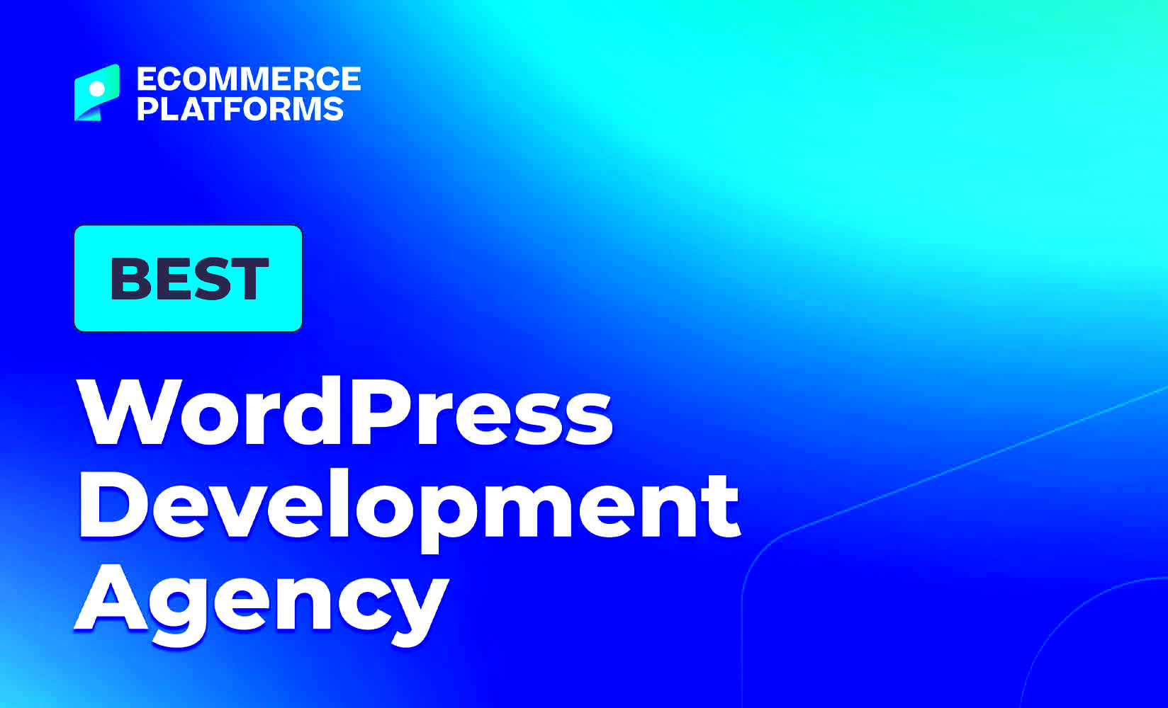 12 Best WordPress Development Agencies 2024  Ecommerce Platforms