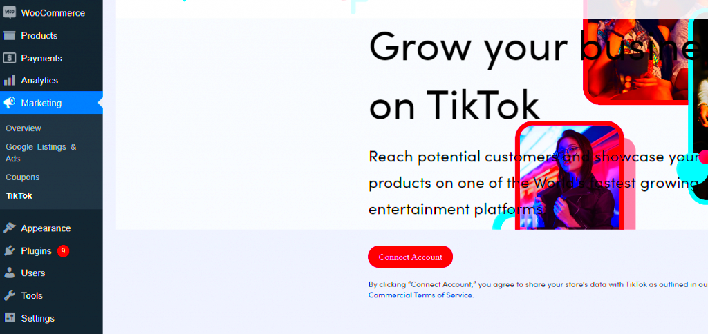 Set up TikTok for WooCommerce Plugin to Drive Nonstop Traffic to your 