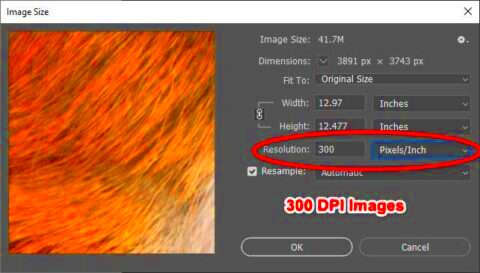 How to Convert Images to 300 dpi  Clipping Photo Experts