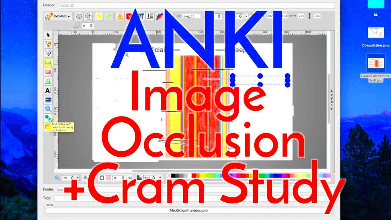 How to Use Anki Effectively  Image Occlusion 20 and Cram Studying 