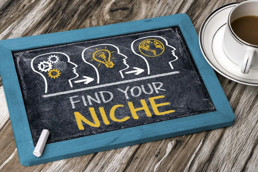 Finding Your Niche Why You Dont Need Webcore  Webcore Internet Solutions