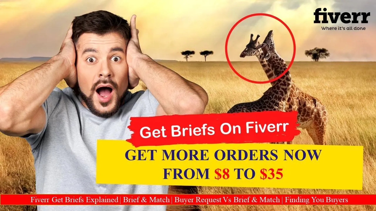 What is Get Brief in Fiverr?