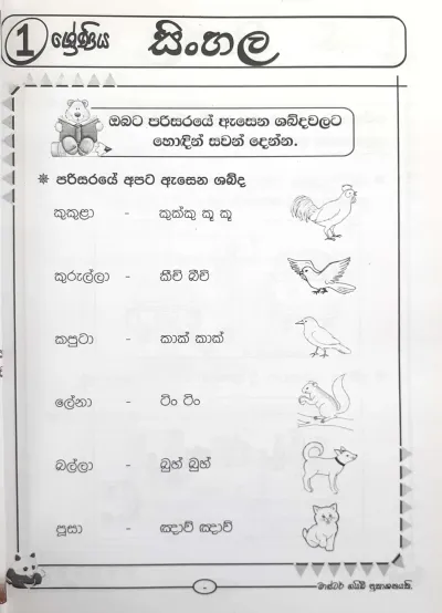 How to Work on Fiverr: A Complete Guide in Sinhala