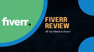 The Importance of Fiverr Essay Review  futureandeducationcom