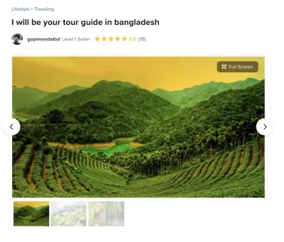 Can You Leave Tips on Fiverr? A Comprehensive Guide