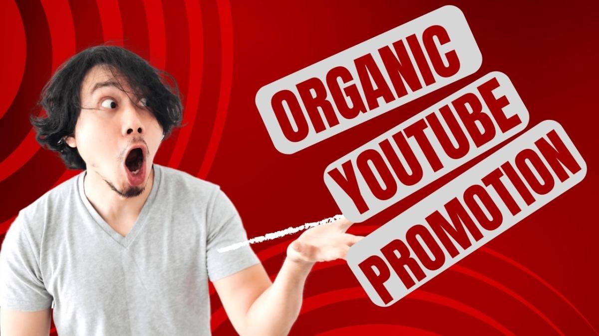 I Will Do Organic YouTube Video Promotion