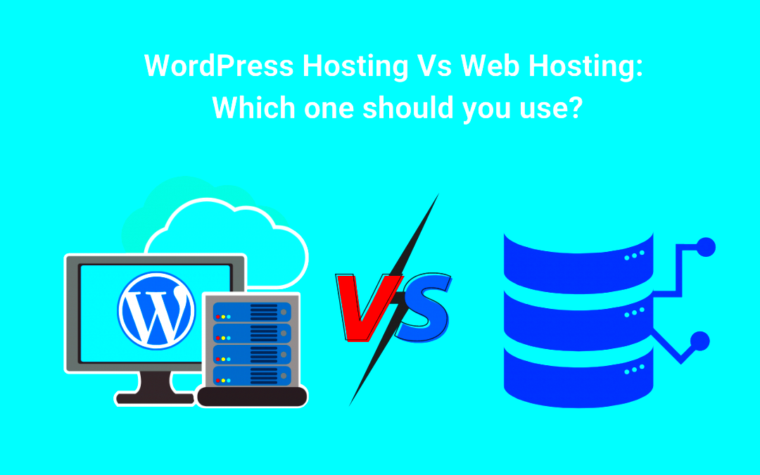 WordPress Hosting Vs Web Hosting Which one should you use 2024  LTHEME