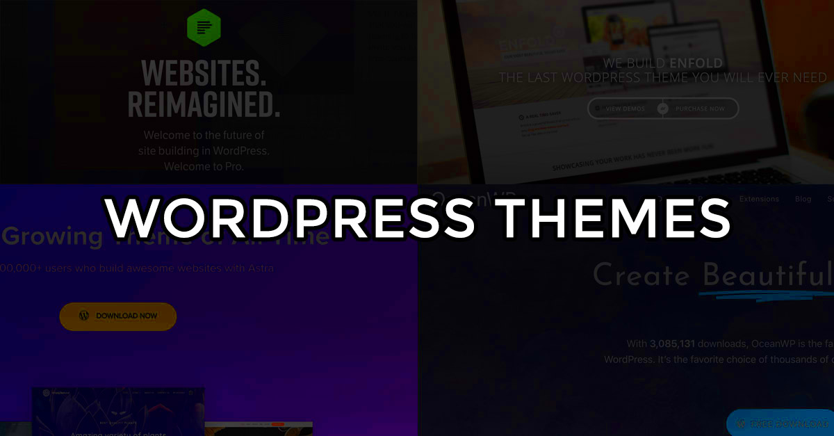 The Best WordPress Themes of 2024  The Ultimate Collection