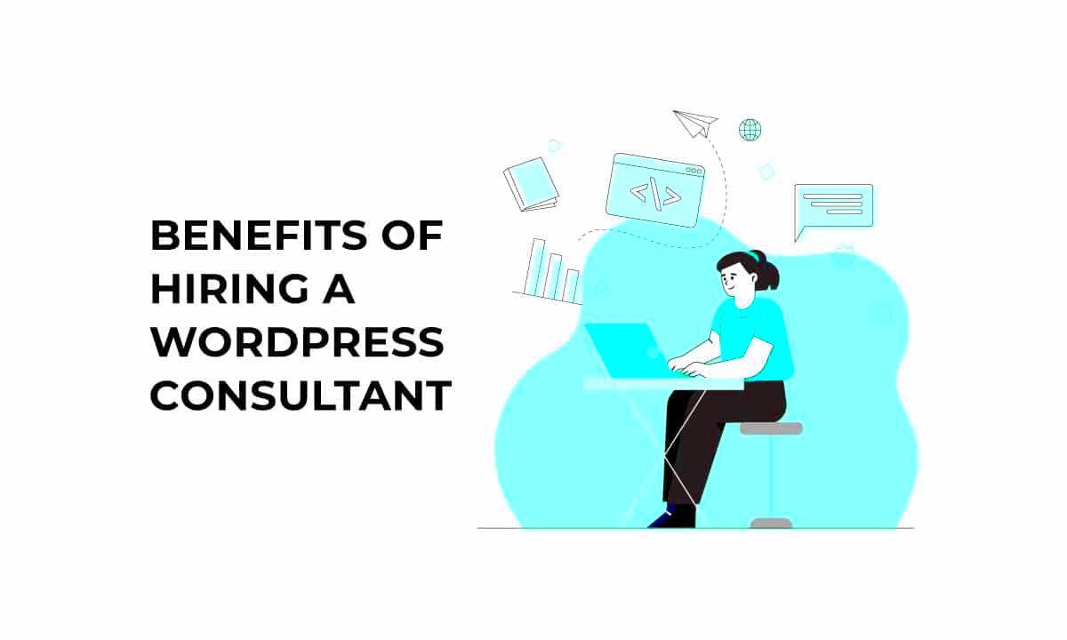 Hiring a WordPress consultant All you need to know about WordPress 