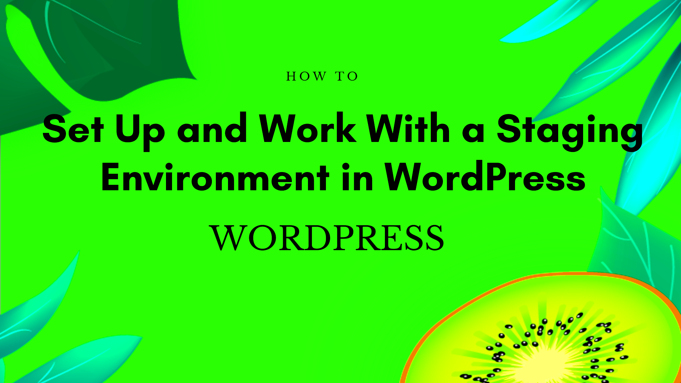 Mastering WordPress Staging Environments A Beginners Guide