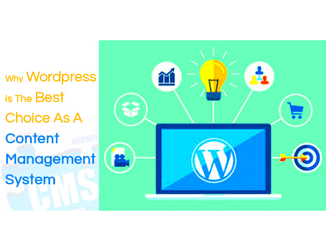 Why WordPress Is The Best Choice As A Content Management System  Mind 