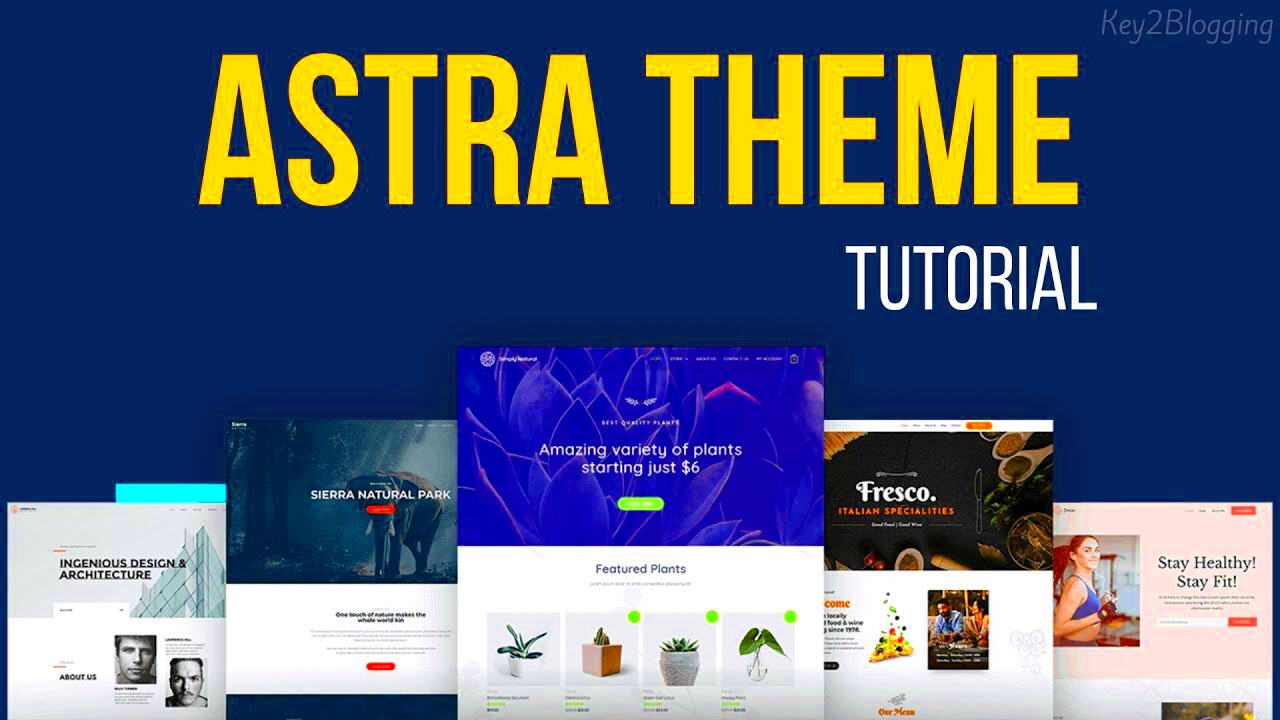 Astra Theme Customization in WordPress A StepbyStep Guide  YouTube