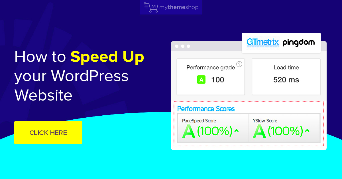 The Ultimate Guide to WordPress Speed Optimization  MyThemeShop