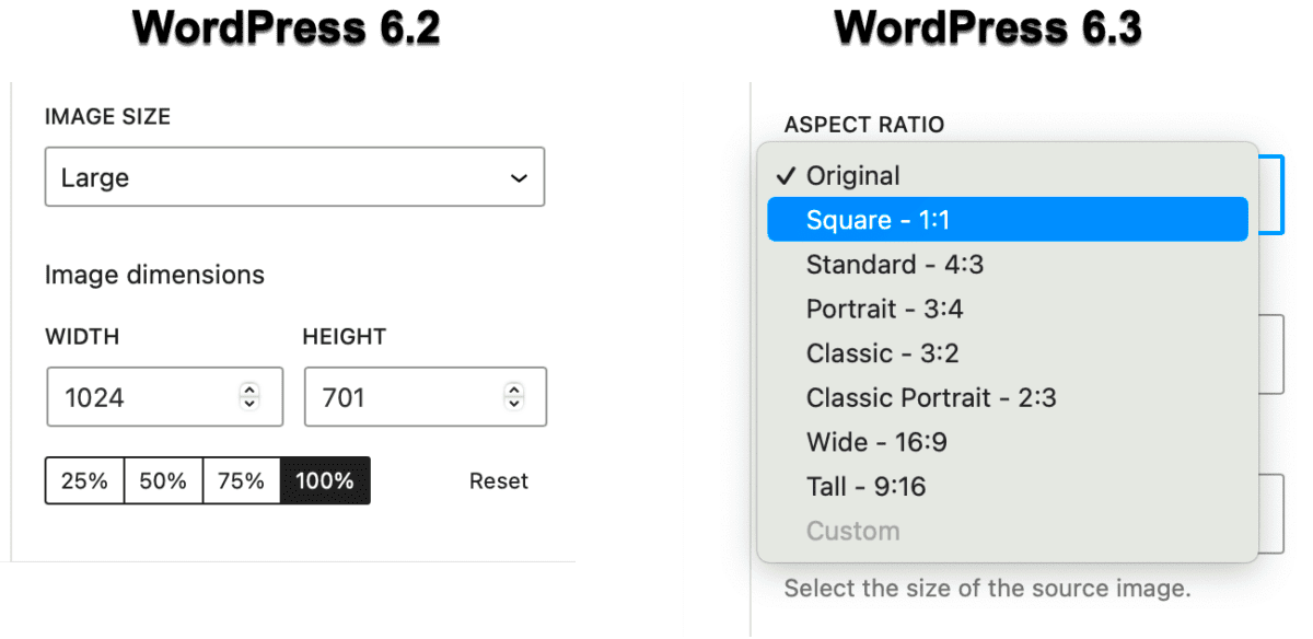 How to Use Aspect Ratios for WordPress Images  MetaSlider