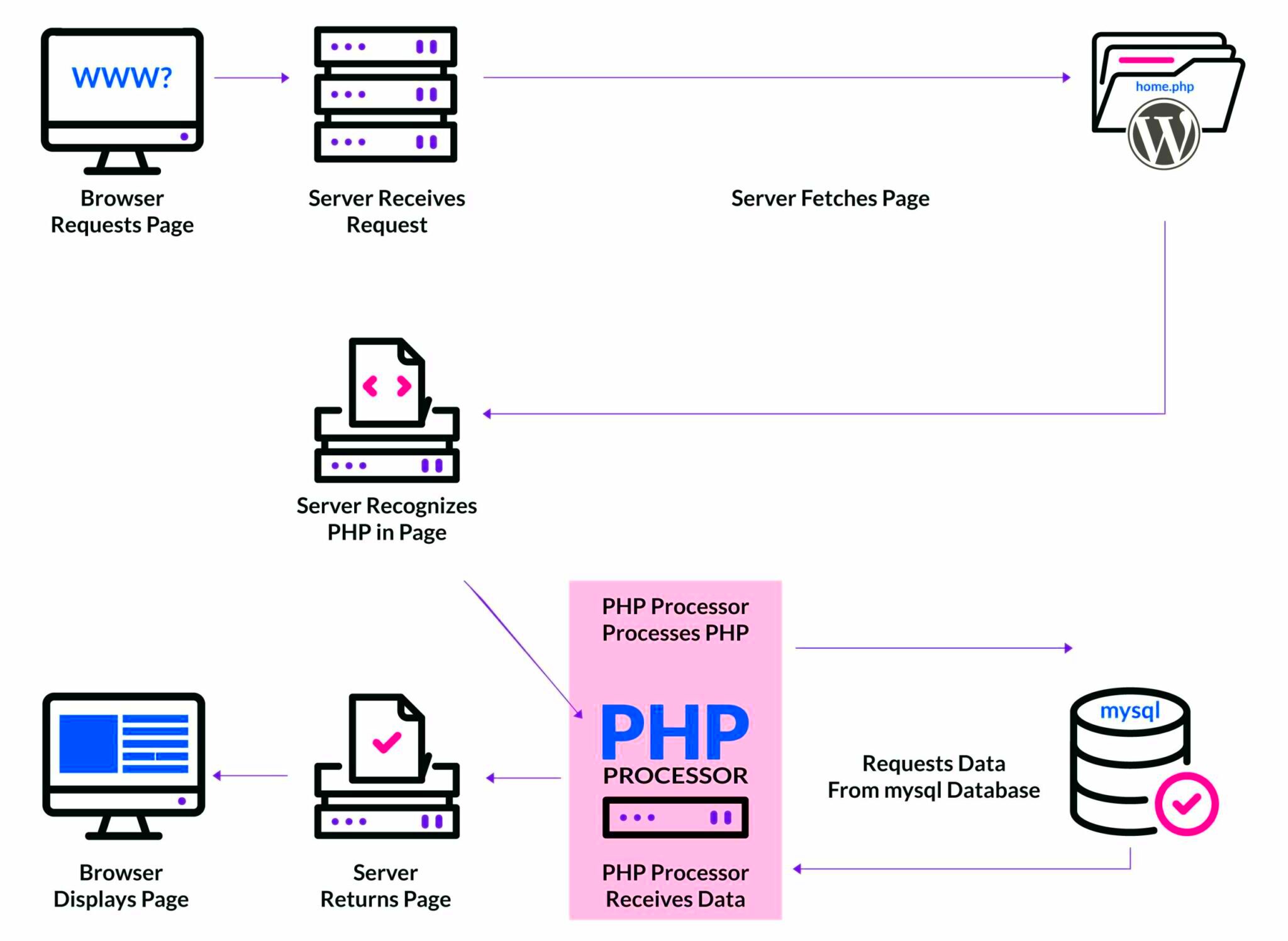 How to Update PHP in WordPress A Complete Guide  Ask the Egghead Inc