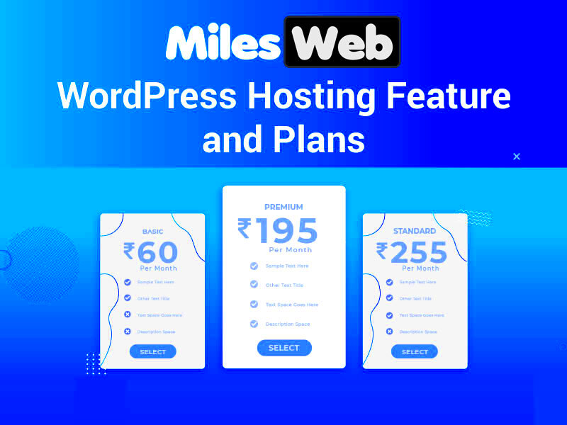 Affordable WordPress Monthly Plans Ultimate Guide 2024