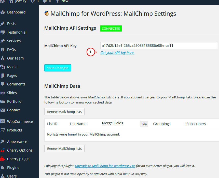 WordPress How to set up MailChimp for WordPress Lite plugin  Template 