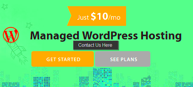 Managed WordPress Hosting 2020  Everything You Need To Know