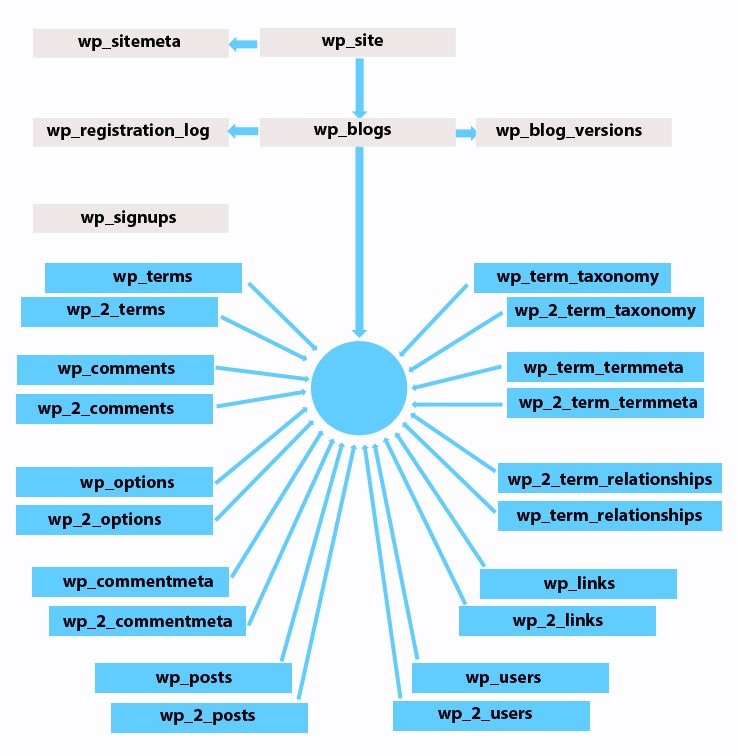 Overview of the multisite database structure  WordPress Development 