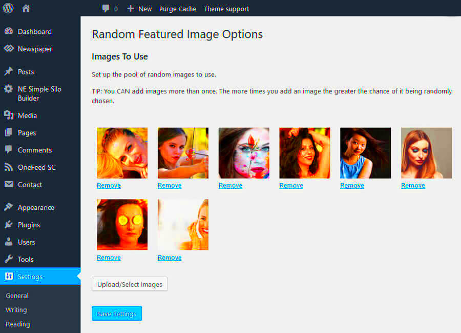 WordPress Random Featured Image