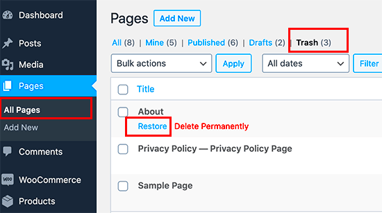 How to Recover and Restore Deleted Pages in WordPress  Hosttouchcom