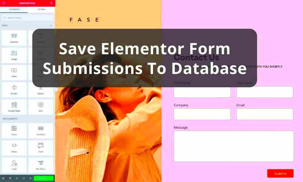 Elementor Contact Form DB Save View  Display For FREE