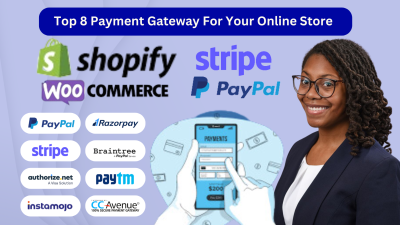 I Will Integrate Stripe, Wise, PayPal, or Any Payment Gateway into Shopify, WordPress, WooCommerce