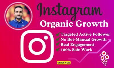 I Will Instagram Organic Growth, Targeted Follower and Engagement