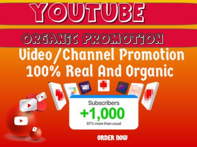 I Will Do Organic YouTube Video or Channel Promotion for Monetization