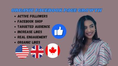 I Will Boost Your USA, UK Facebook Business Page IG Followers