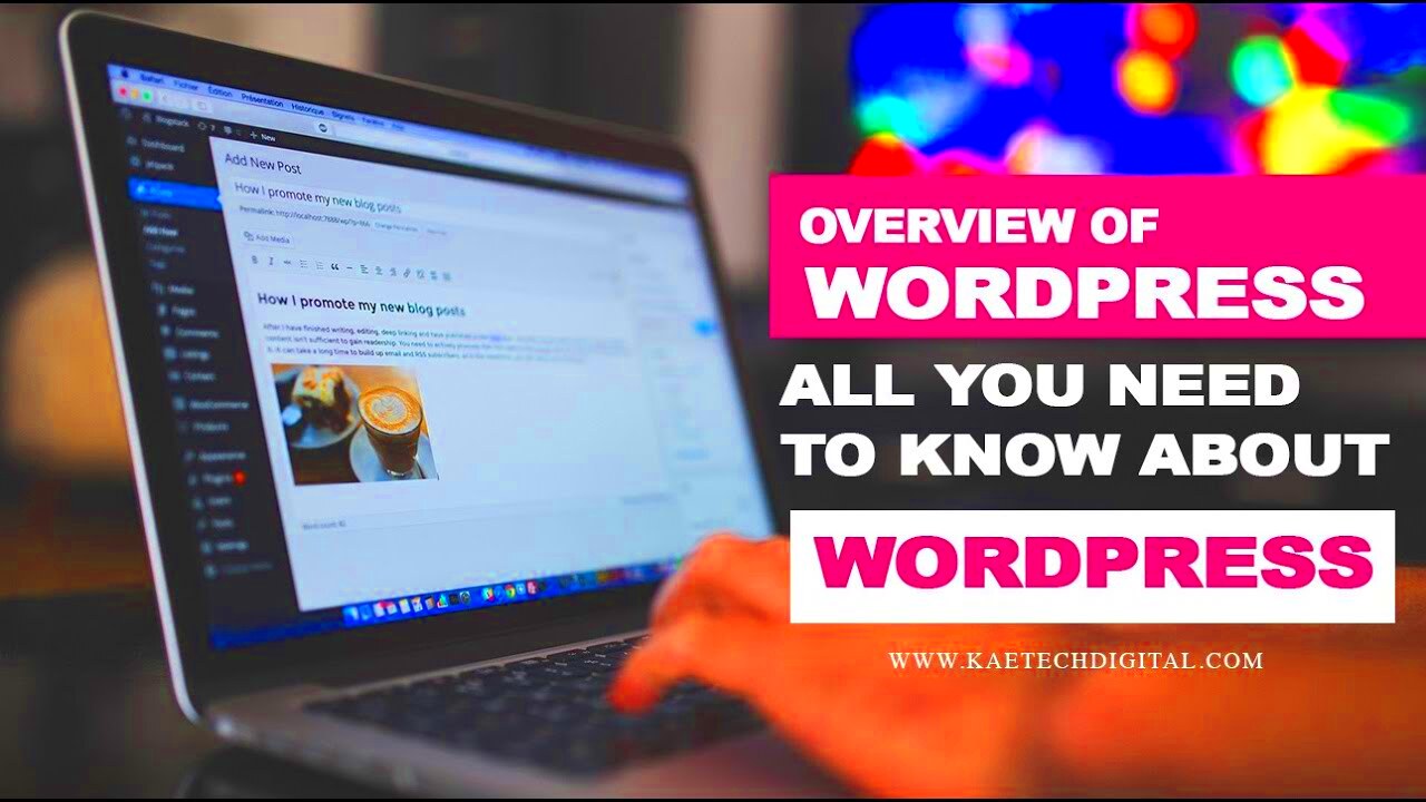 Overview of WordPress All You Need to Know About WordPress  YouTube