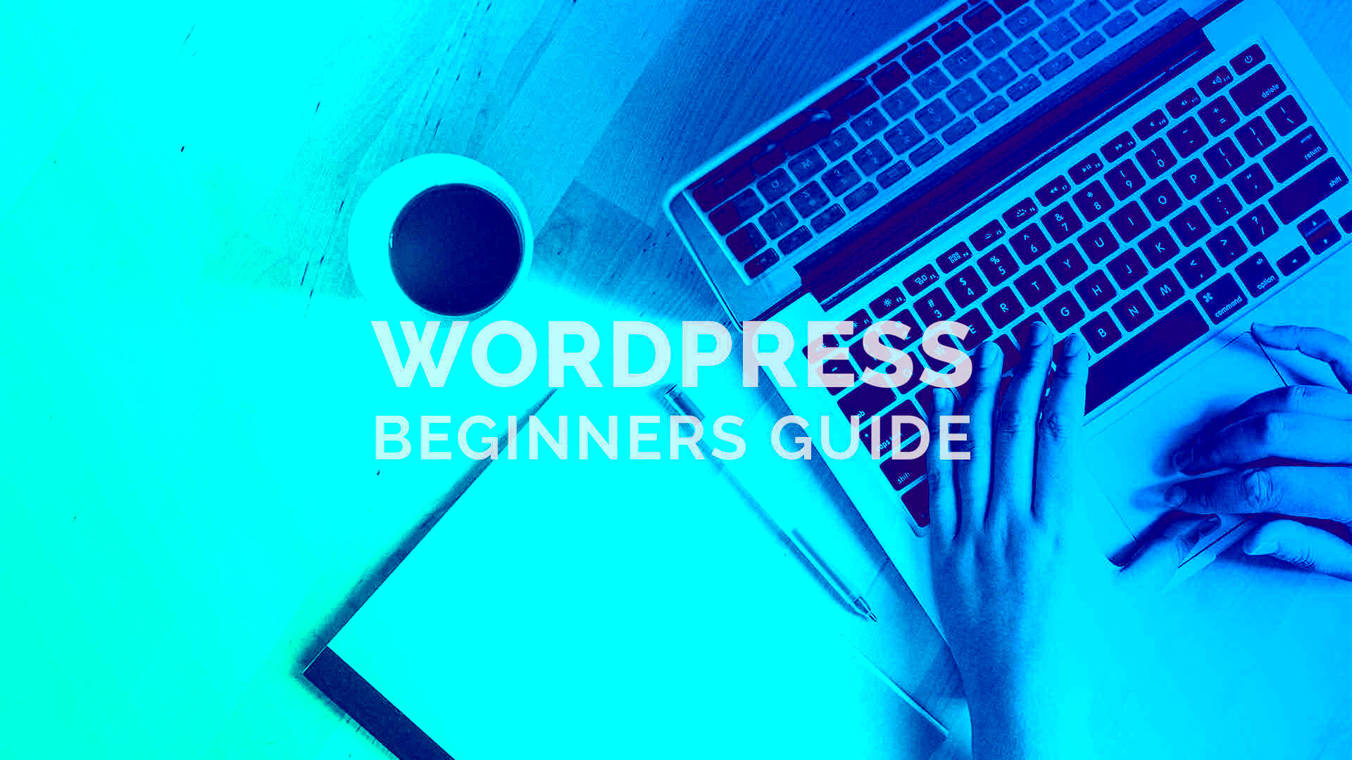 All About WordPress A Beginners Guide  ElmaStudio