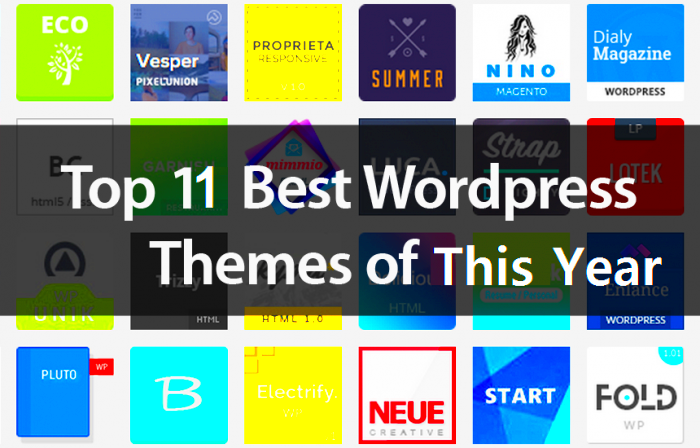Top 11 Best Premium WordPress Themes of This Year  TechClient