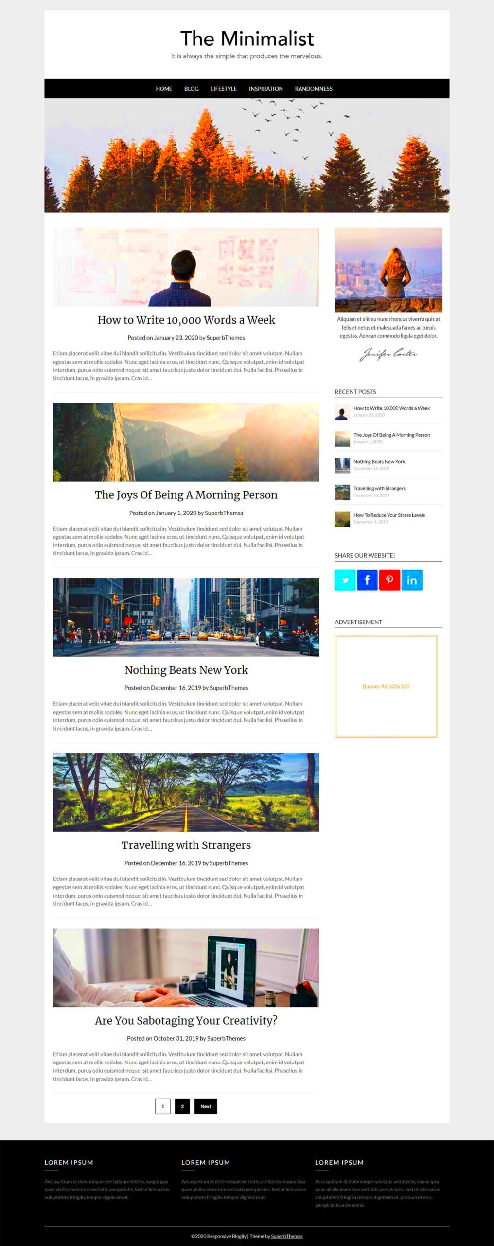 35 Best Simple  Clean WordPress Blog Themes 2024 Free  Premium 