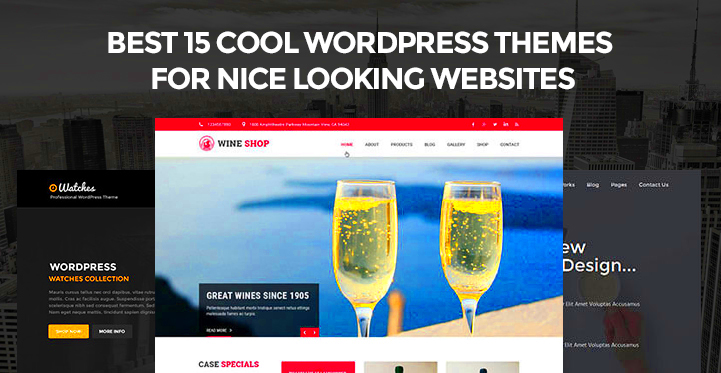 17 Cool WordPress Themes to Make Your Site Stand Out 2024