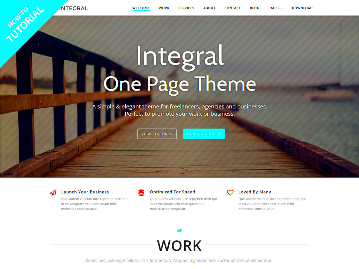 Tutorial How to build a One Page WordPress Site with Integral  Themely