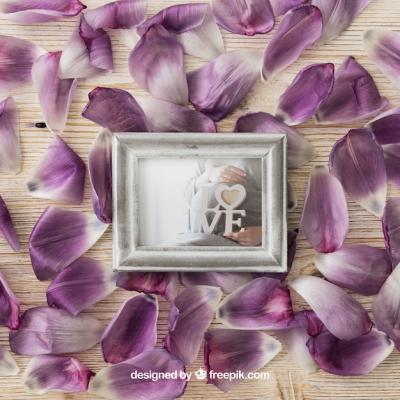 Photo Frame on Petals – Free Download, Free Stock Photo