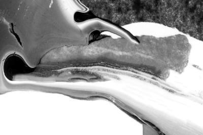 Black and White Acrylic Painting – Download Free Stock Photo