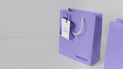 Papper Shopping Bag Mock-Up with Tag – Free Stock Photo for Download