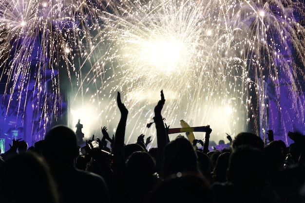 Silhouette of Festival-Goers Against Night Fireworks | Free Stock Photo Download