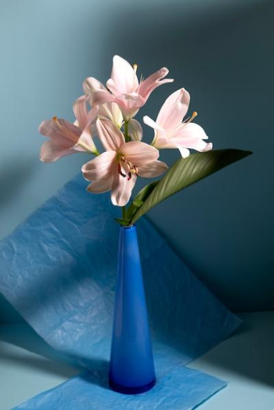 Beautiful Still Life Flower Arrangement – Free Download