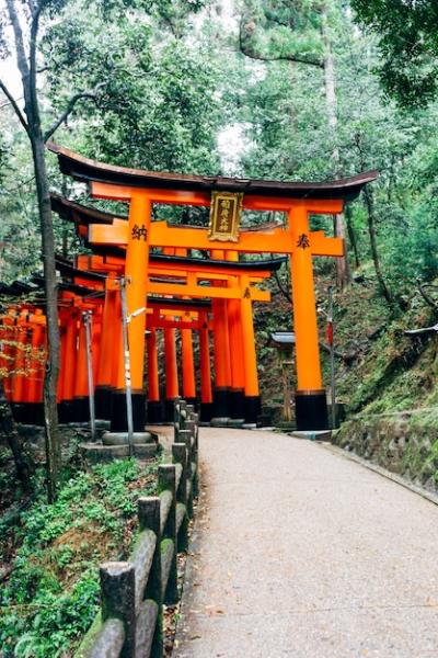 Walkway Through Fushimi Inari’s Iconic Red Torii Gates in Japan – Free Download