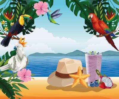 Cartoon Style Summer Vacation and Beach Scenes – Free Stock Photo for Download