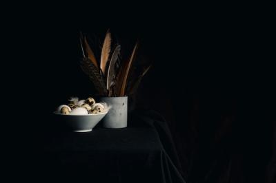 Chicken and Quail Eggs Surrounded by Feathers in a Bowl – Free Stock Photo for Download